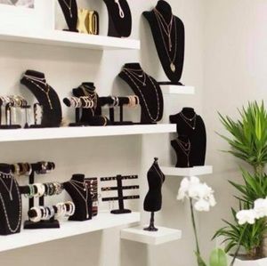 Meet your Posher, Deleon